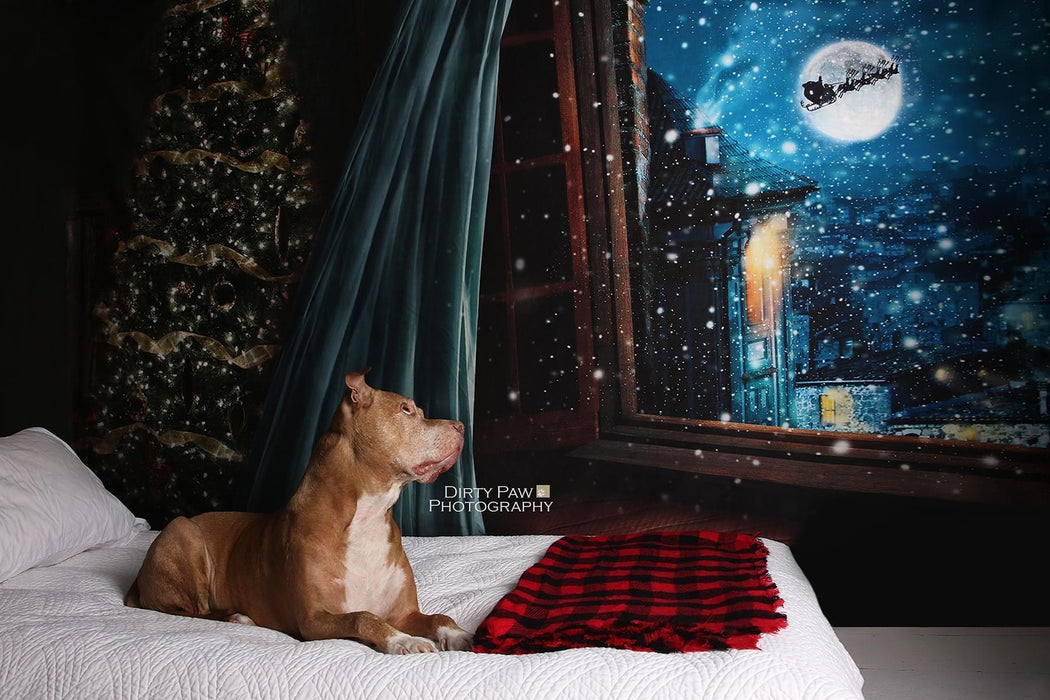 Waiting on Christmas Santa