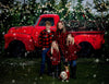 X Drop vintage red truck christmas
