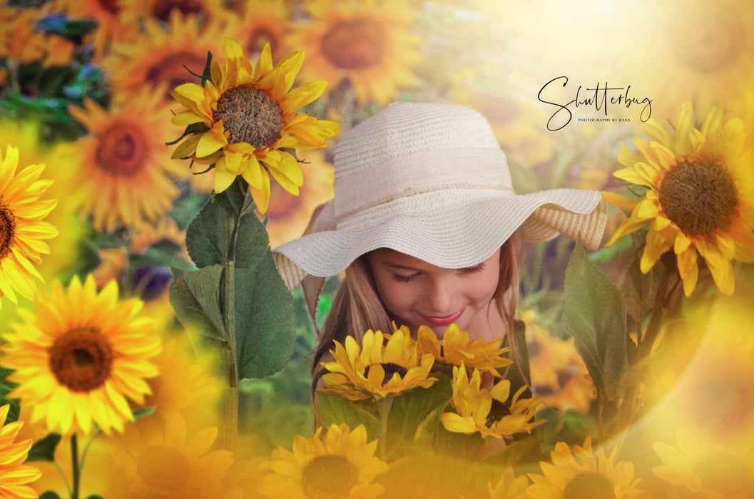 Sweet Sunflower Field (CC)