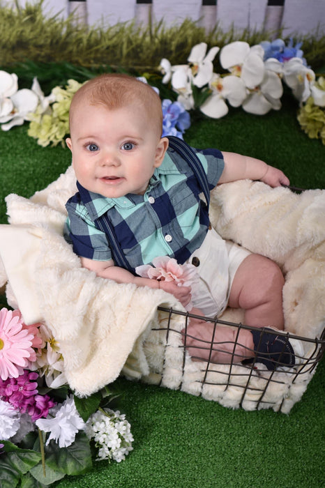 Spring Picket Fence (CC)