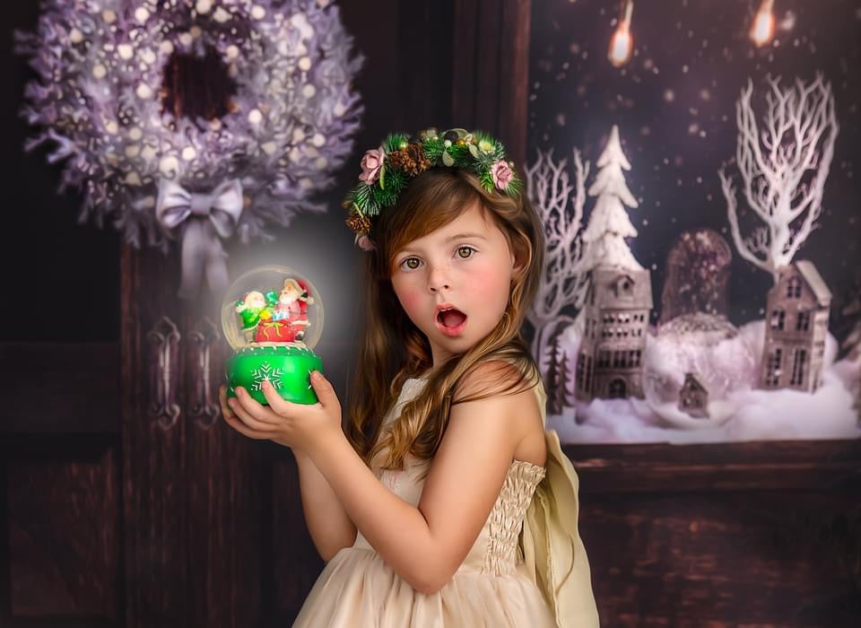 Christmas in a Globe