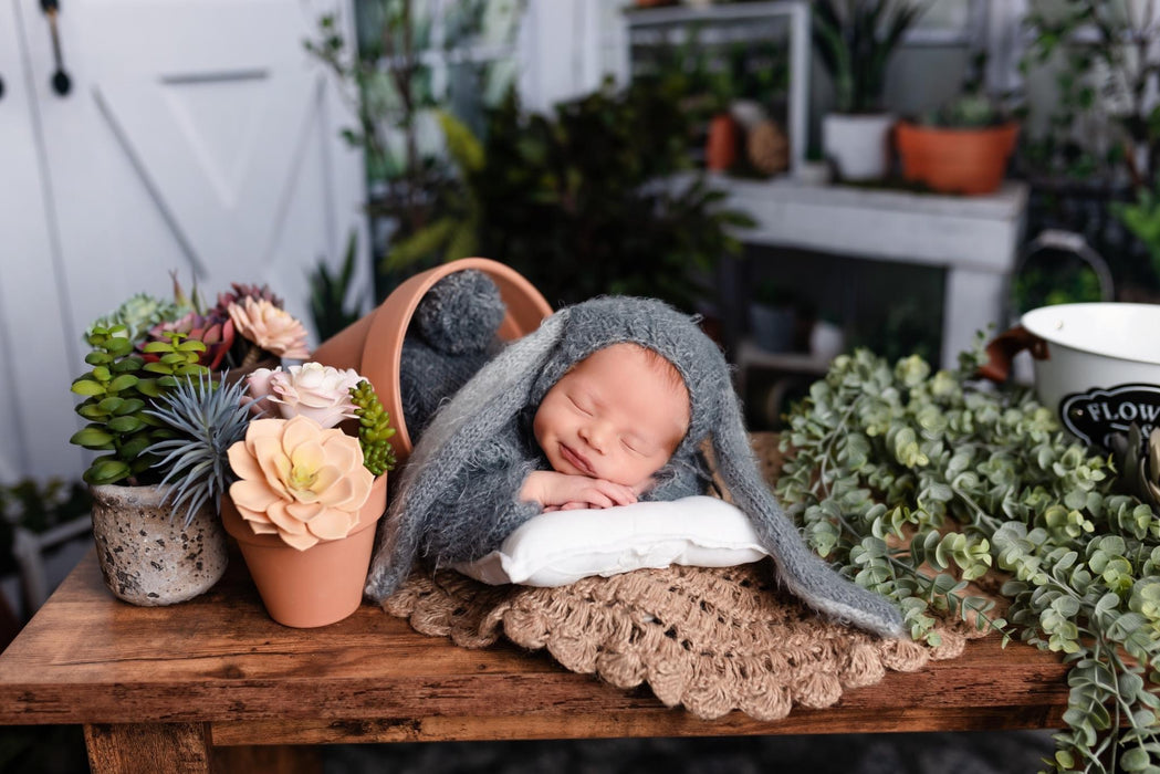 White Washed Green House and White Washed Green House Door