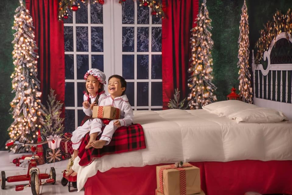 Classic Traditions Simple Queen Headboard and Doors Bundle