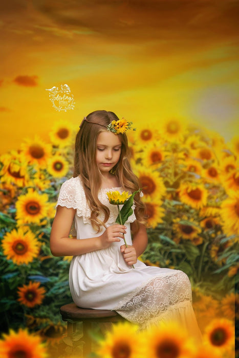 Sweet Sunflower Field (CC)