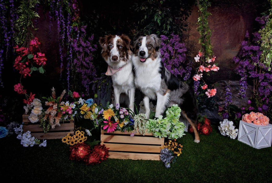 Purple Paradise Arch