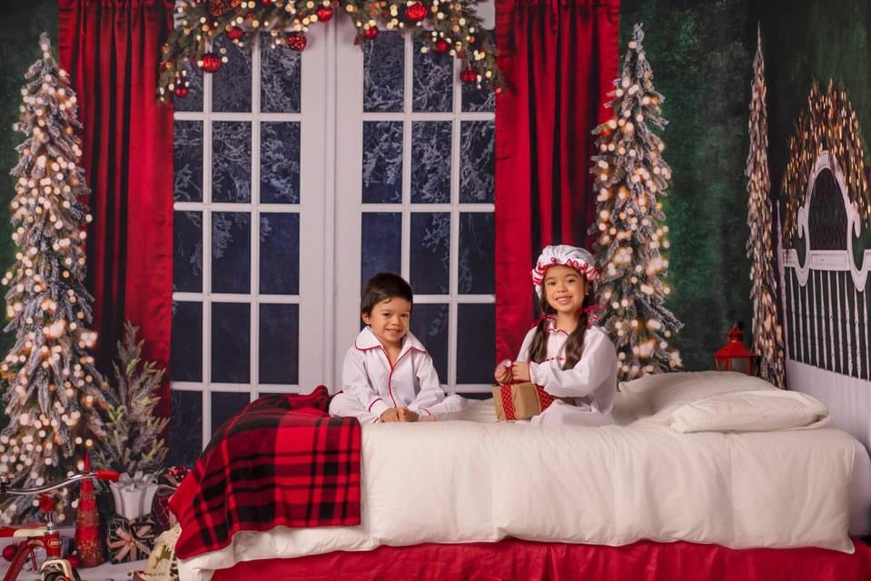 Classic Traditions Simple Queen Headboard and Doors Bundle