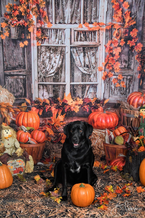 September Window Patch