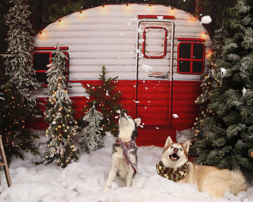 Winter Camper (Lights)