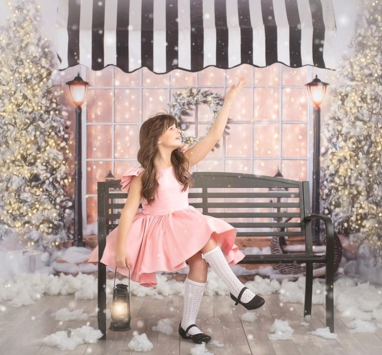 White Cottage Christmas with Awning