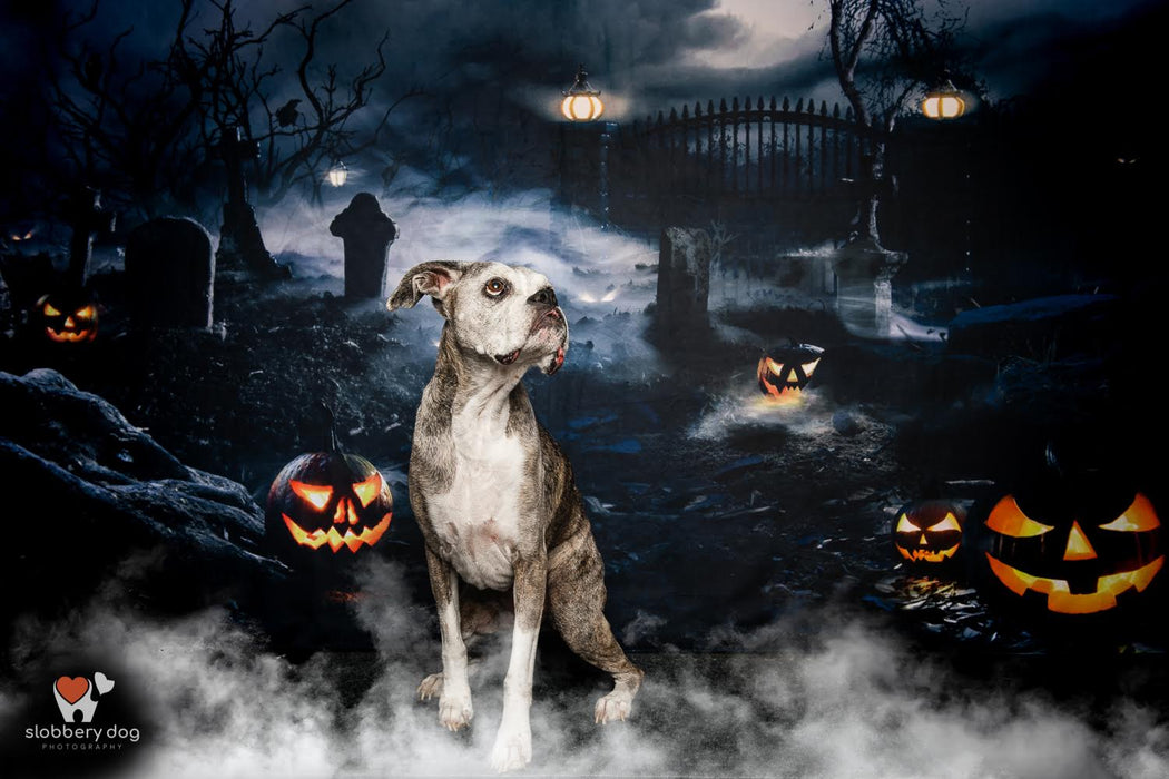 Creepy Pumpkin Patch