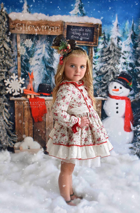 Do You Wanna Build a Snowman