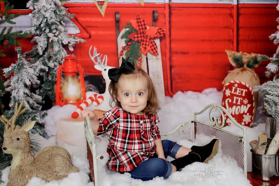 Winter Camper Decorated (Extra Lights)