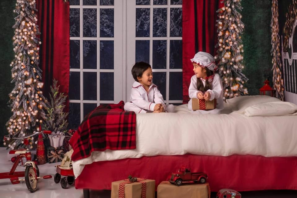 Classic Traditions Simple Queen Headboard and Doors Bundle