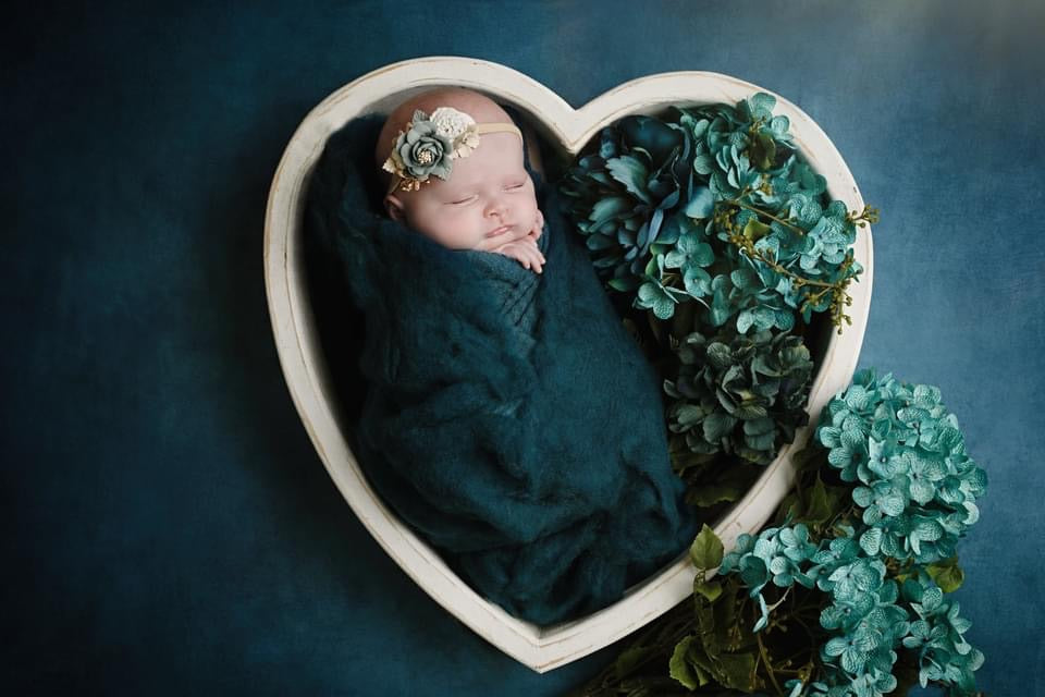 Bitty Dream Bundle - Fruit