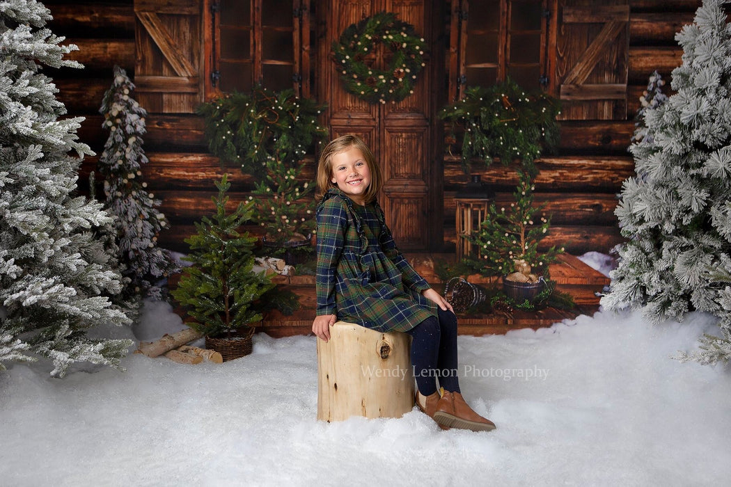 Christmas Cabin Welcome Lights