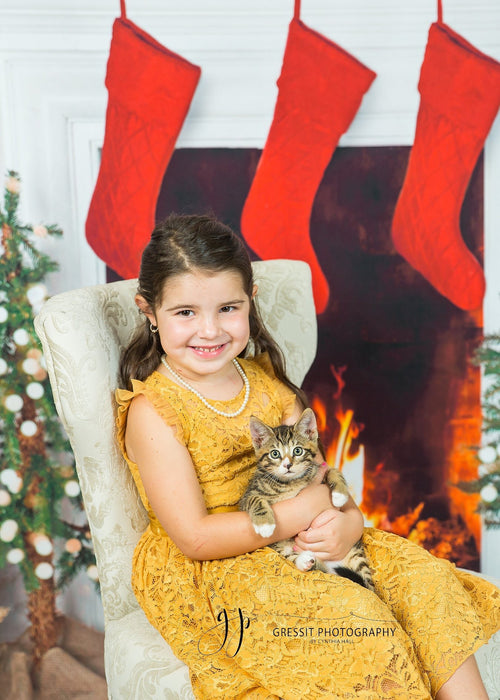 Farmhouse Cozy Fireplace (Lights)