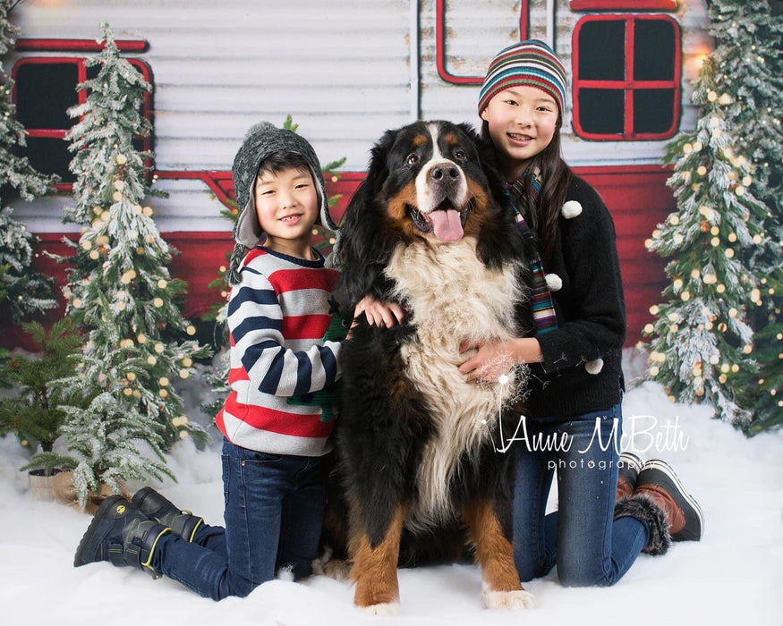 Winter Camper (Lights)