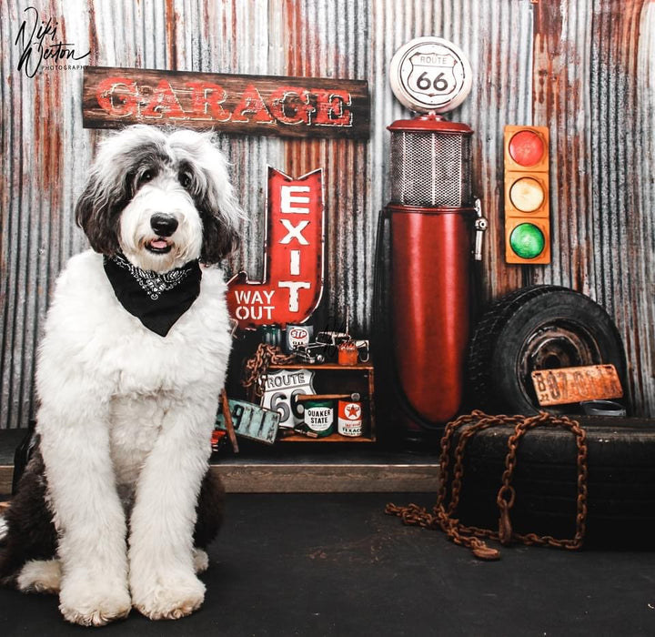 Gramps Garage (Extra Props)