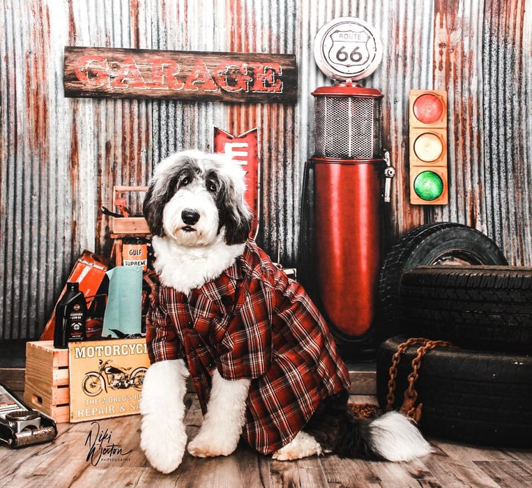 Gramps Garage (Extra Props)