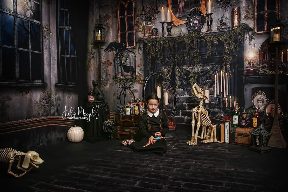 Moonlit Mansion Window