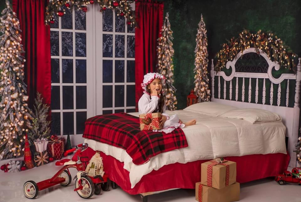 Classic Traditions Simple Queen Headboard and Doors Bundle