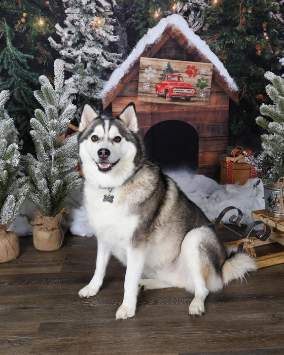 Place in the Pines for Pups