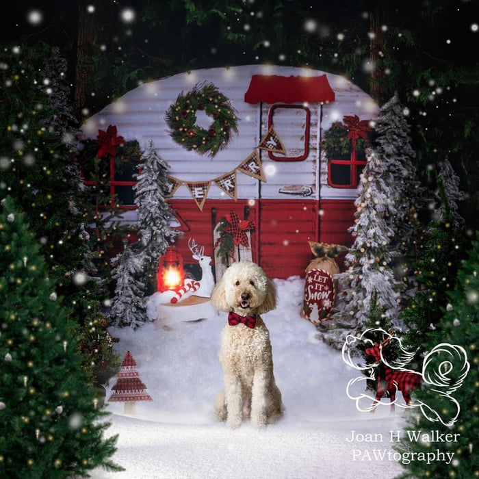 Winter Camper Decorated (Extra Lights)