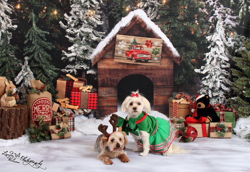 Place in the Pines for Pups