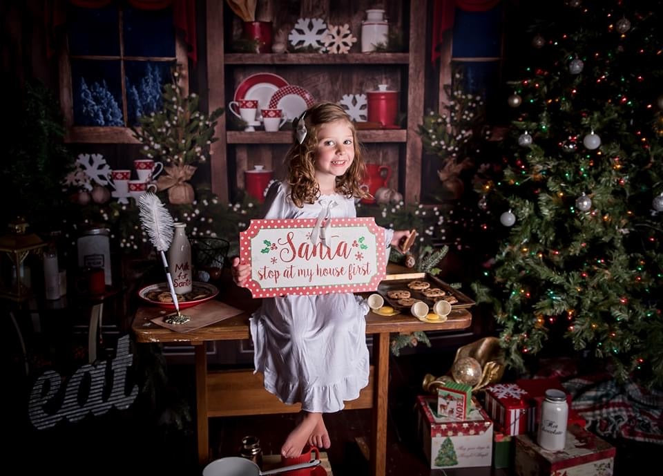 Country Christmas Kitchen Lights