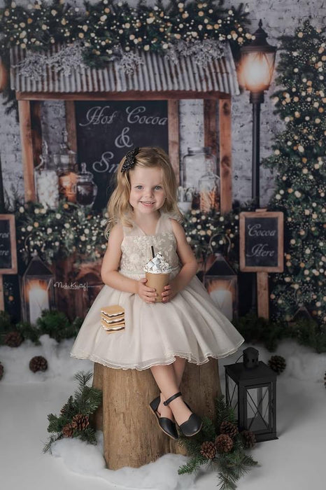 Hot Cocoa and Smores