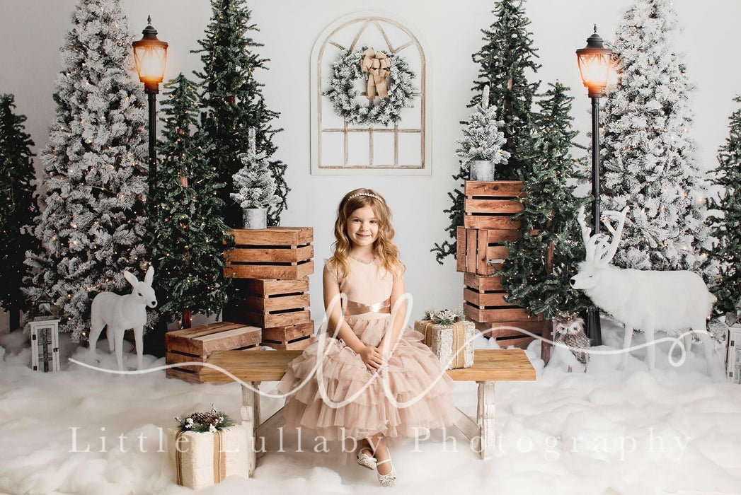 Winter Blunder Lights