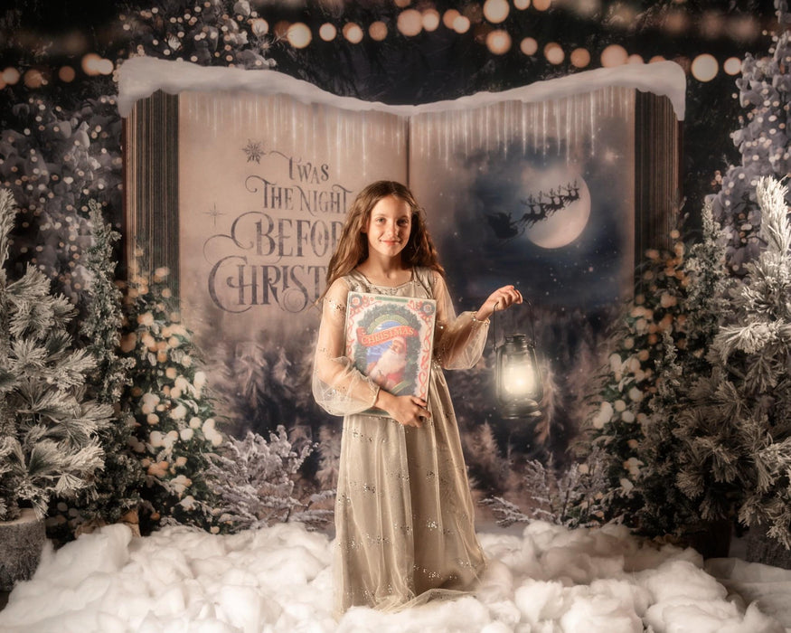 Once Upon a Christmas Santa (JA)