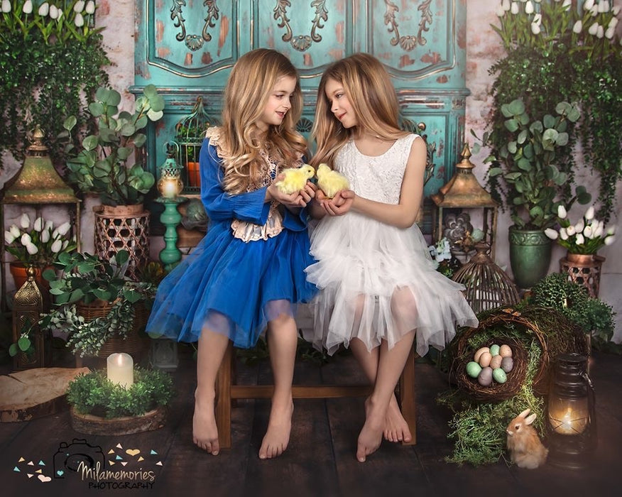 Blue Spring Entry (JA)