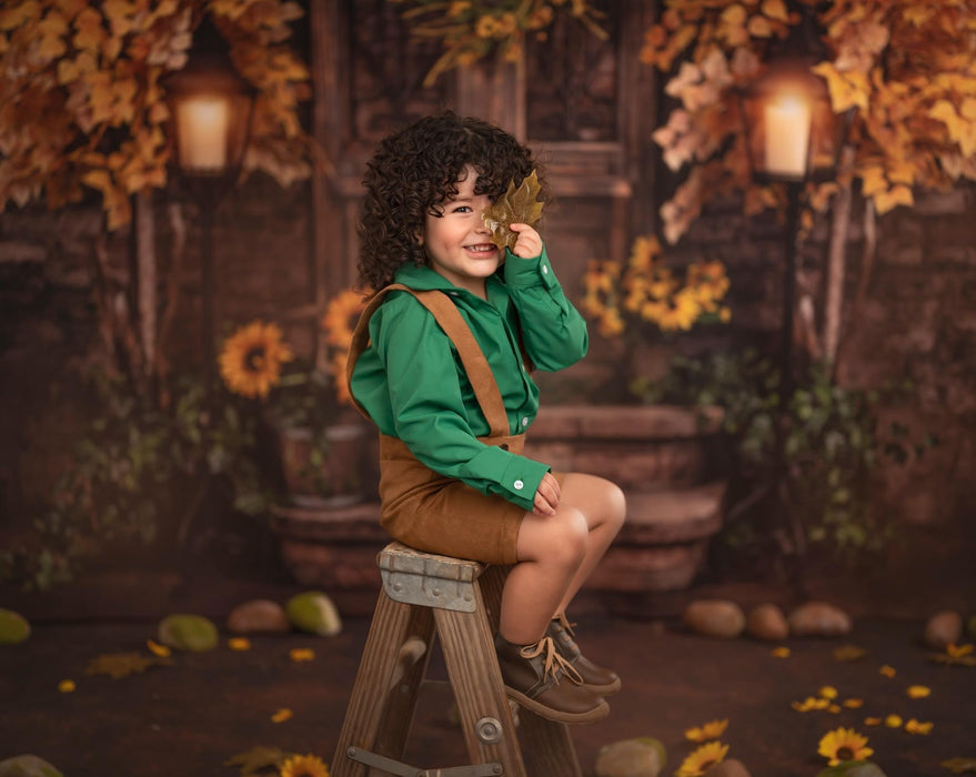 Sunflower Suite Steps and Sunflower Suite Windows Room