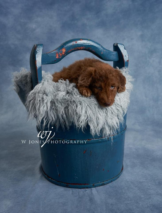 Whispers Mist and Whispers Dawn Doubled Sided Drop