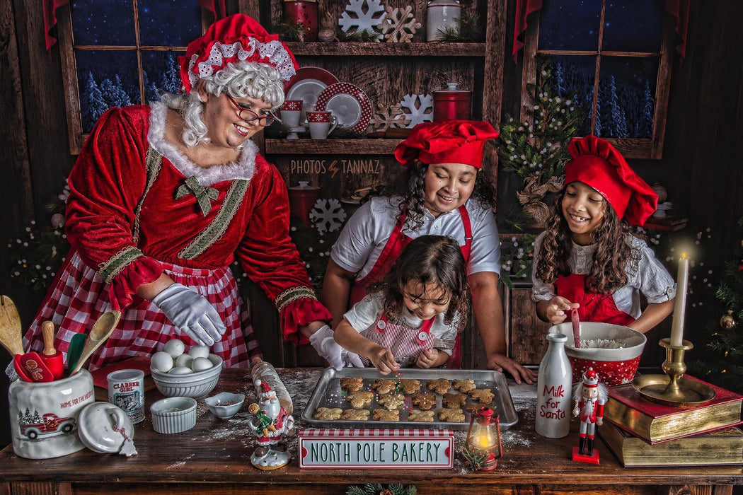 Country Christmas Kitchen Lights