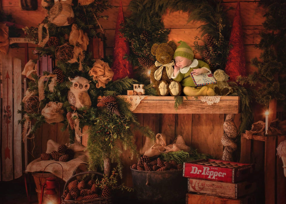 Owl Be Home for Christmas