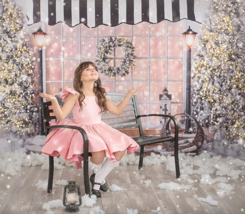 White Cottage Christmas with Awning