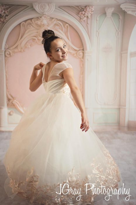 Soft Pink Ballroom Wall (MD)