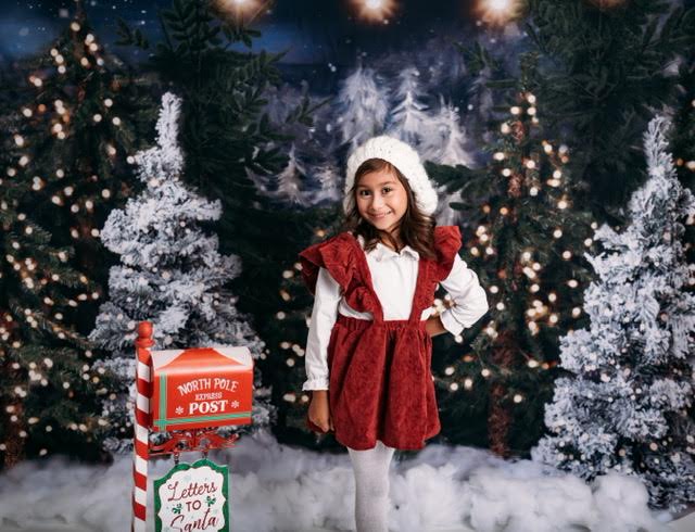 Northern Delights Trees Lights (BS)