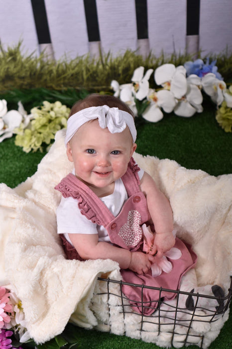 Spring Picket Fence (CC)