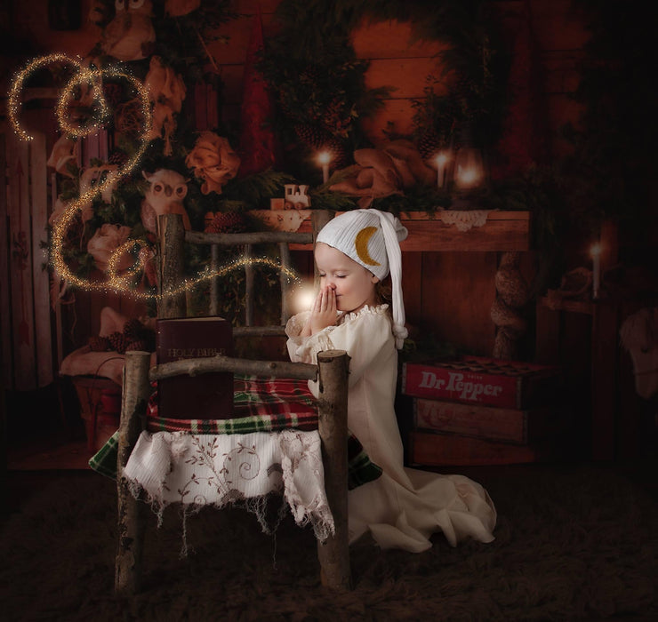 Owl Be Home for Christmas