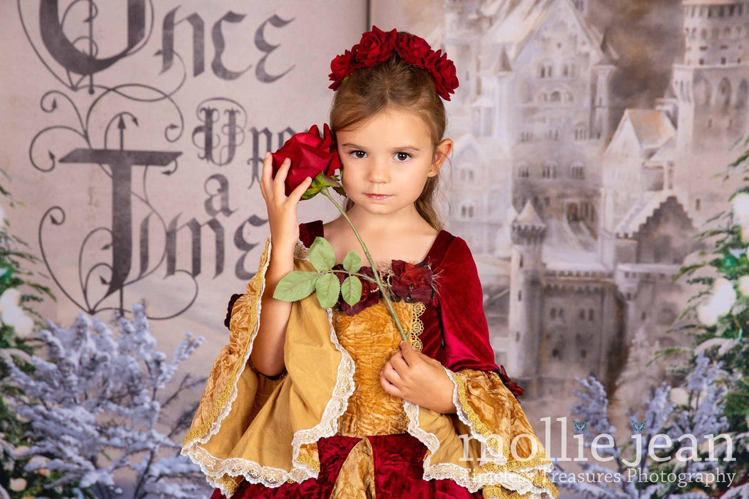 Once Upon a Christmas Castle (JA)