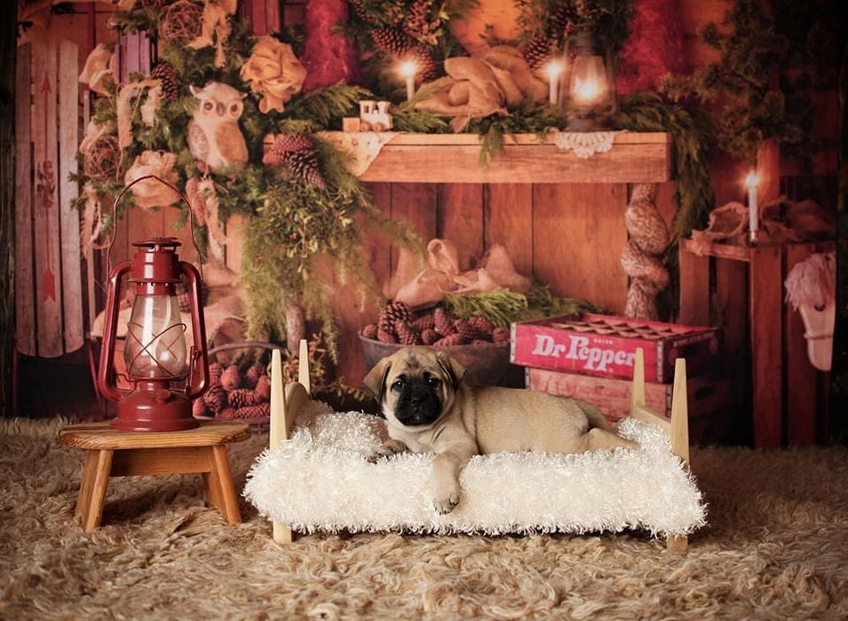 Owl Be Home for Christmas