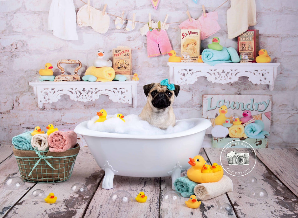 Suds and Bubbles No Tub