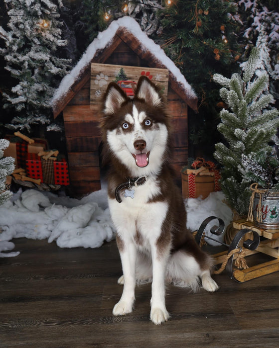 Place in the Pines for Pups