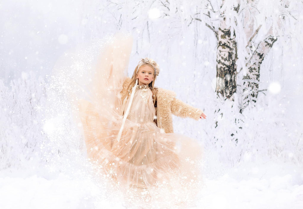 Frosted Fantasy (CC)