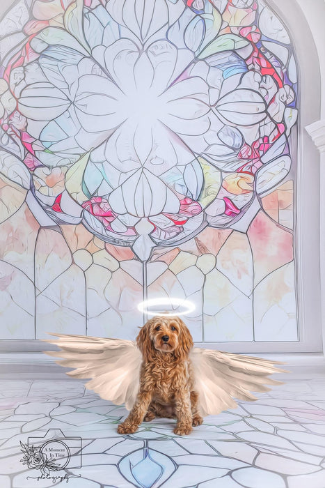 jewel art windows X Drop Sweep md