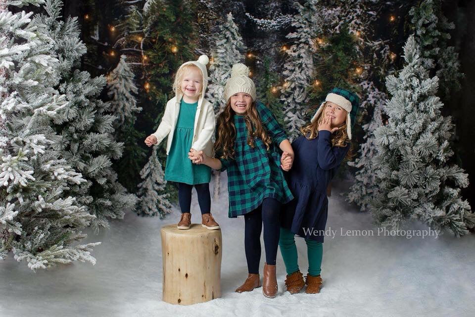 Place in the Pines String Lights