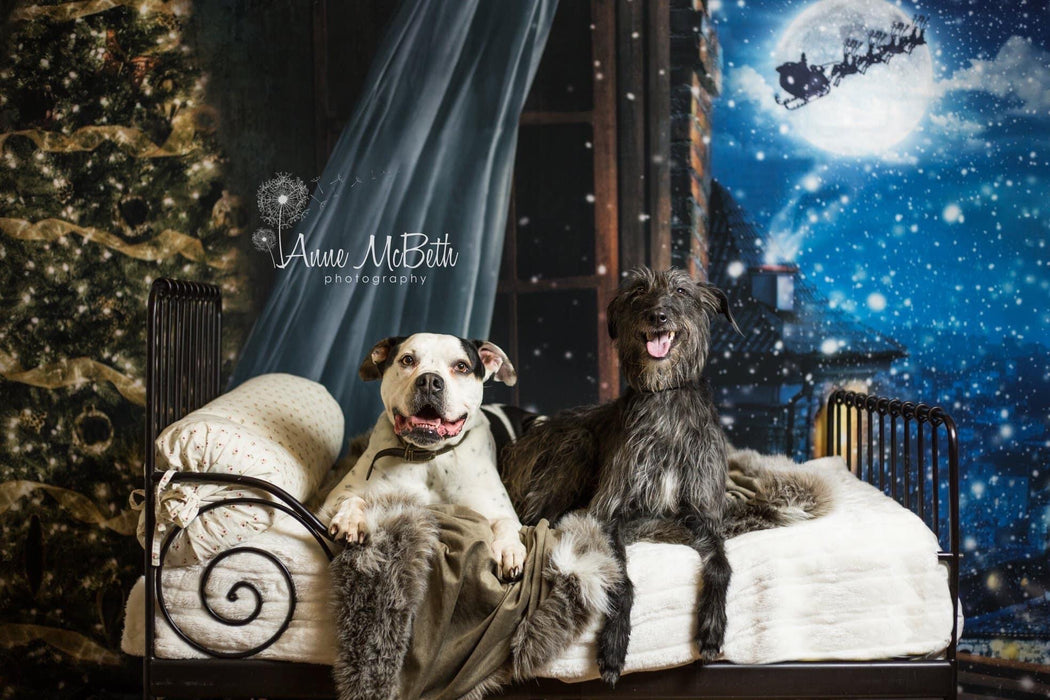 Waiting on Christmas Santa